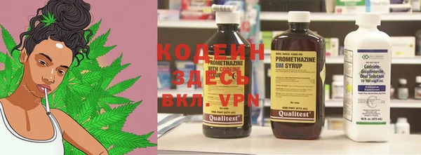 стафф Карпинск