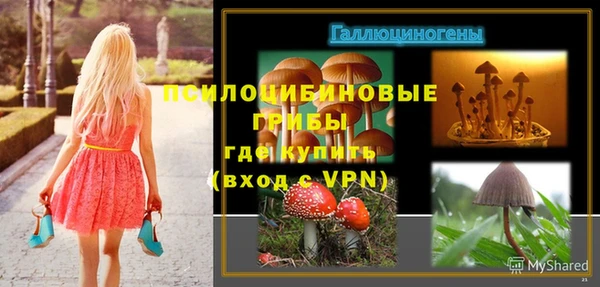 стафф Карпинск