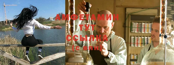 стафф Карпинск