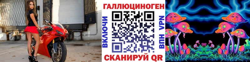 Купить закладки  Няндома  Псилоцибиновые грибы мицелий 